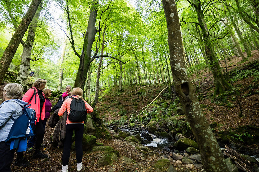Boyne Valley Walking Tours, Co Louth_Web Size.jpg