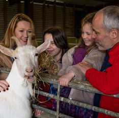 Family enjoying Red Mountain Open Farm near Drogheda