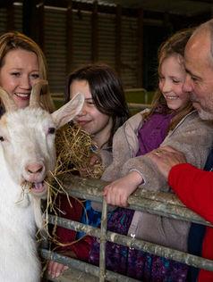 Family enjoying Red Mountain Open Farm near Drogheda