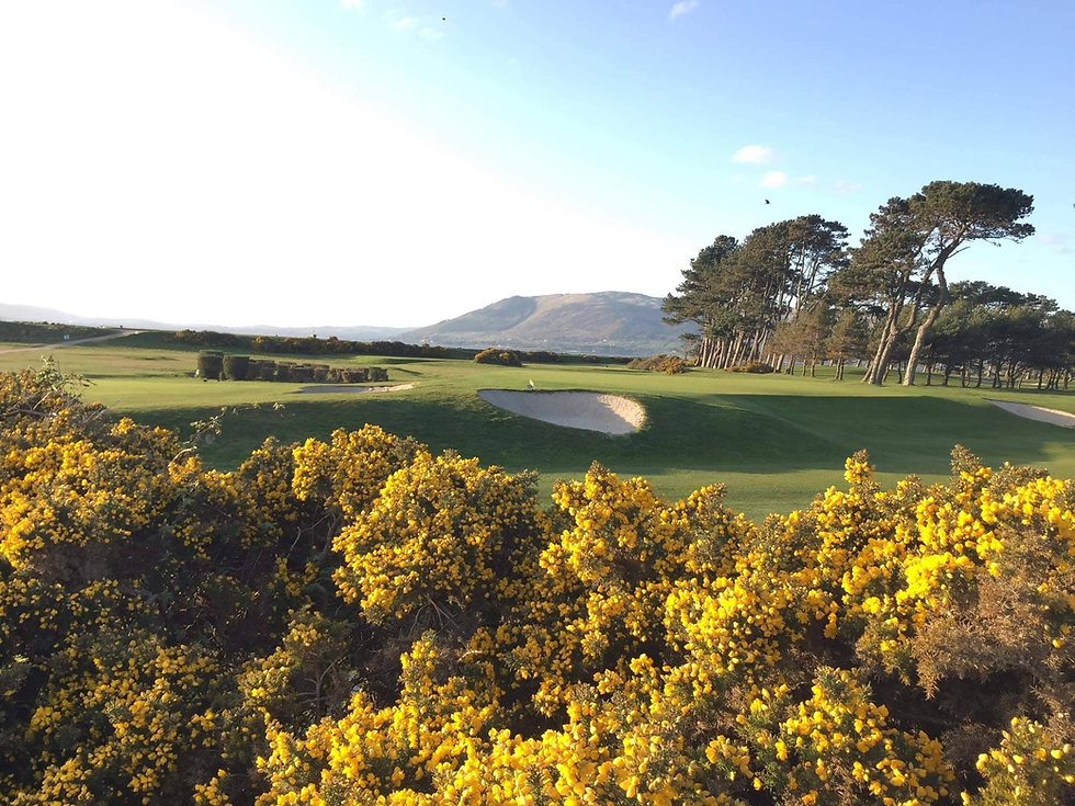 Greenore Golf Club