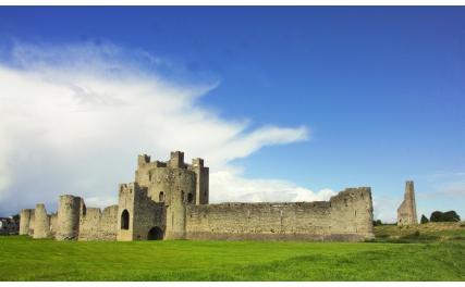 Trim Castle and walls