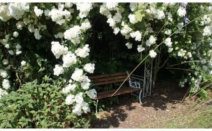 Listoke House garden bench